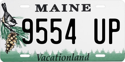 ME license plate 9554UP