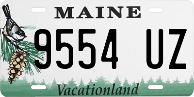 ME license plate 9554UZ