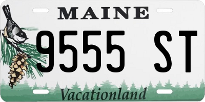 ME license plate 9555ST
