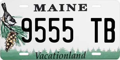 ME license plate 9555TB