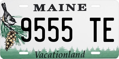 ME license plate 9555TE