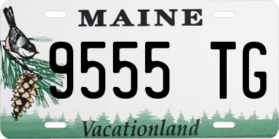 ME license plate 9555TG