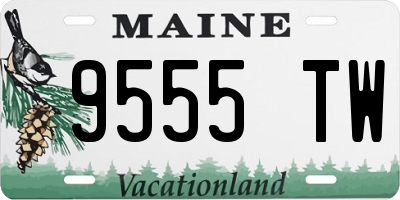 ME license plate 9555TW