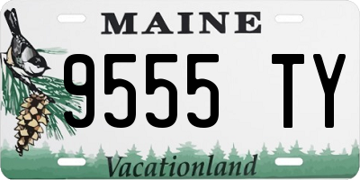 ME license plate 9555TY