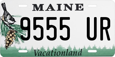 ME license plate 9555UR