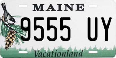 ME license plate 9555UY