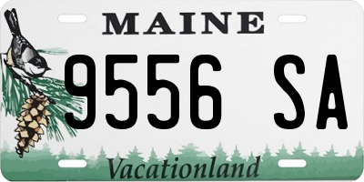 ME license plate 9556SA