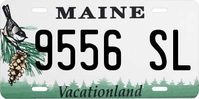 ME license plate 9556SL