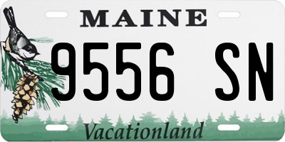 ME license plate 9556SN
