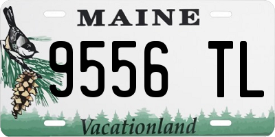 ME license plate 9556TL