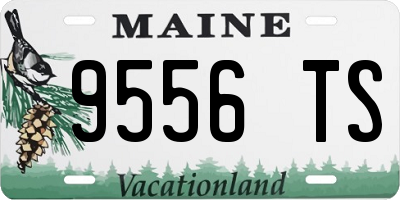 ME license plate 9556TS