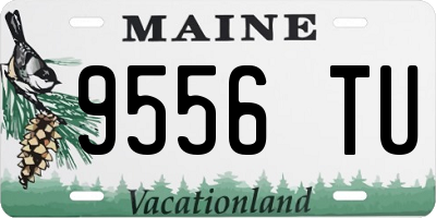 ME license plate 9556TU