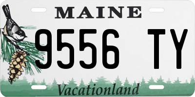 ME license plate 9556TY