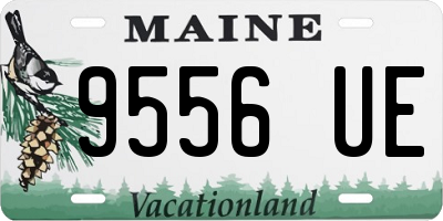 ME license plate 9556UE