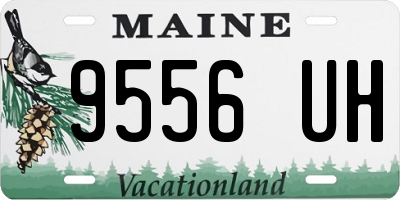 ME license plate 9556UH