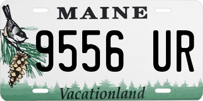 ME license plate 9556UR