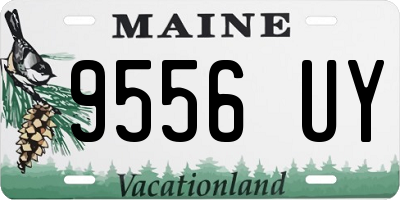 ME license plate 9556UY