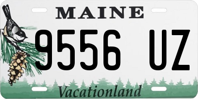 ME license plate 9556UZ