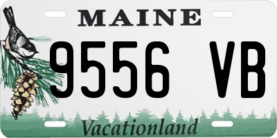 ME license plate 9556VB