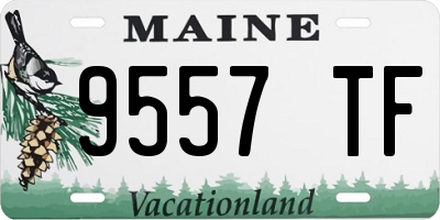 ME license plate 9557TF