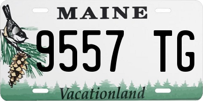 ME license plate 9557TG