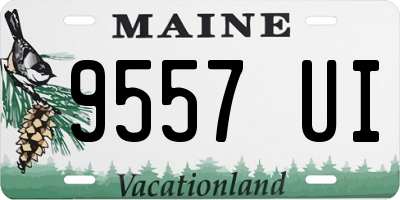 ME license plate 9557UI