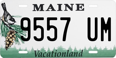 ME license plate 9557UM