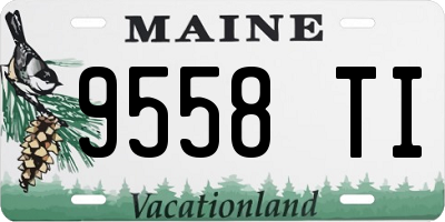 ME license plate 9558TI