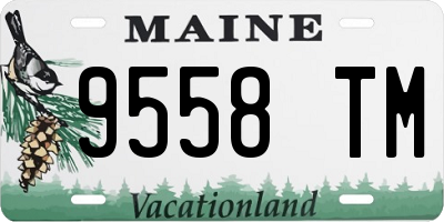 ME license plate 9558TM