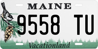 ME license plate 9558TU