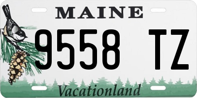 ME license plate 9558TZ