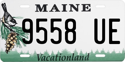 ME license plate 9558UE