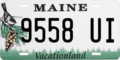 ME license plate 9558UI