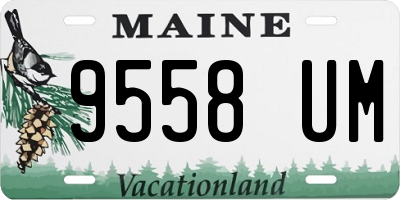 ME license plate 9558UM