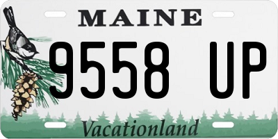 ME license plate 9558UP