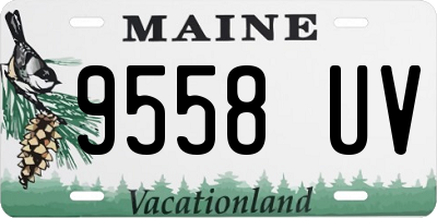 ME license plate 9558UV