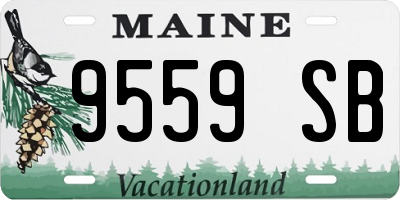 ME license plate 9559SB