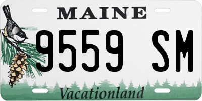 ME license plate 9559SM