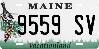 ME license plate 9559SV