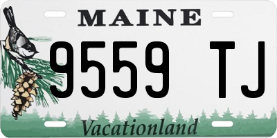 ME license plate 9559TJ