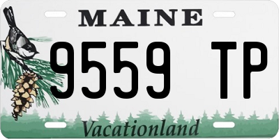 ME license plate 9559TP