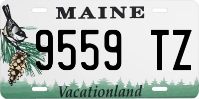 ME license plate 9559TZ