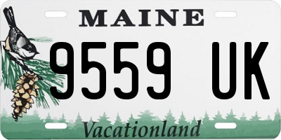 ME license plate 9559UK