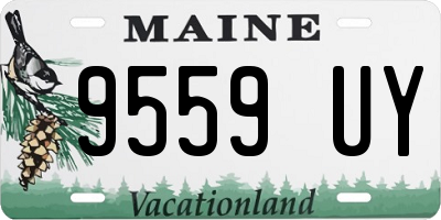 ME license plate 9559UY