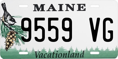 ME license plate 9559VG