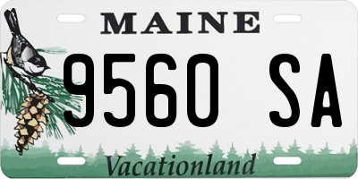 ME license plate 9560SA