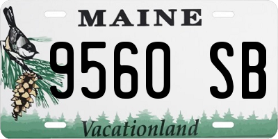 ME license plate 9560SB