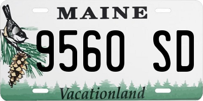 ME license plate 9560SD