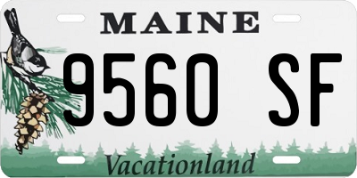 ME license plate 9560SF