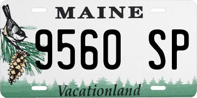 ME license plate 9560SP